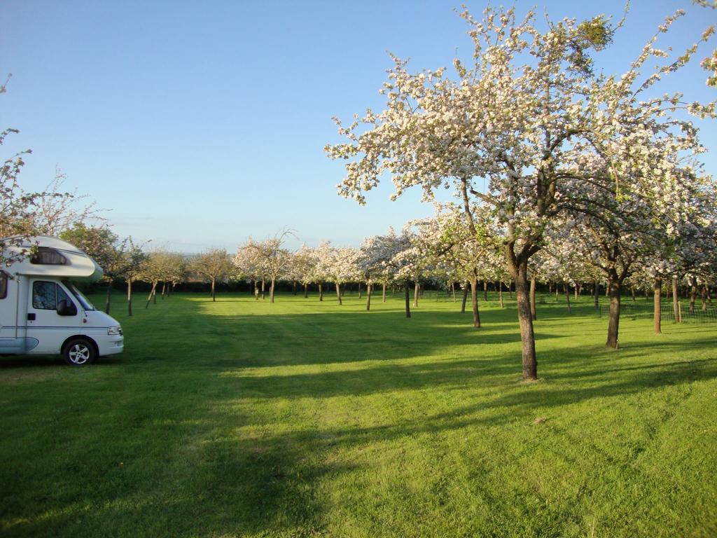 Orchard Farm Luxury Glamping And Campsite Glastonbury Exterior photo