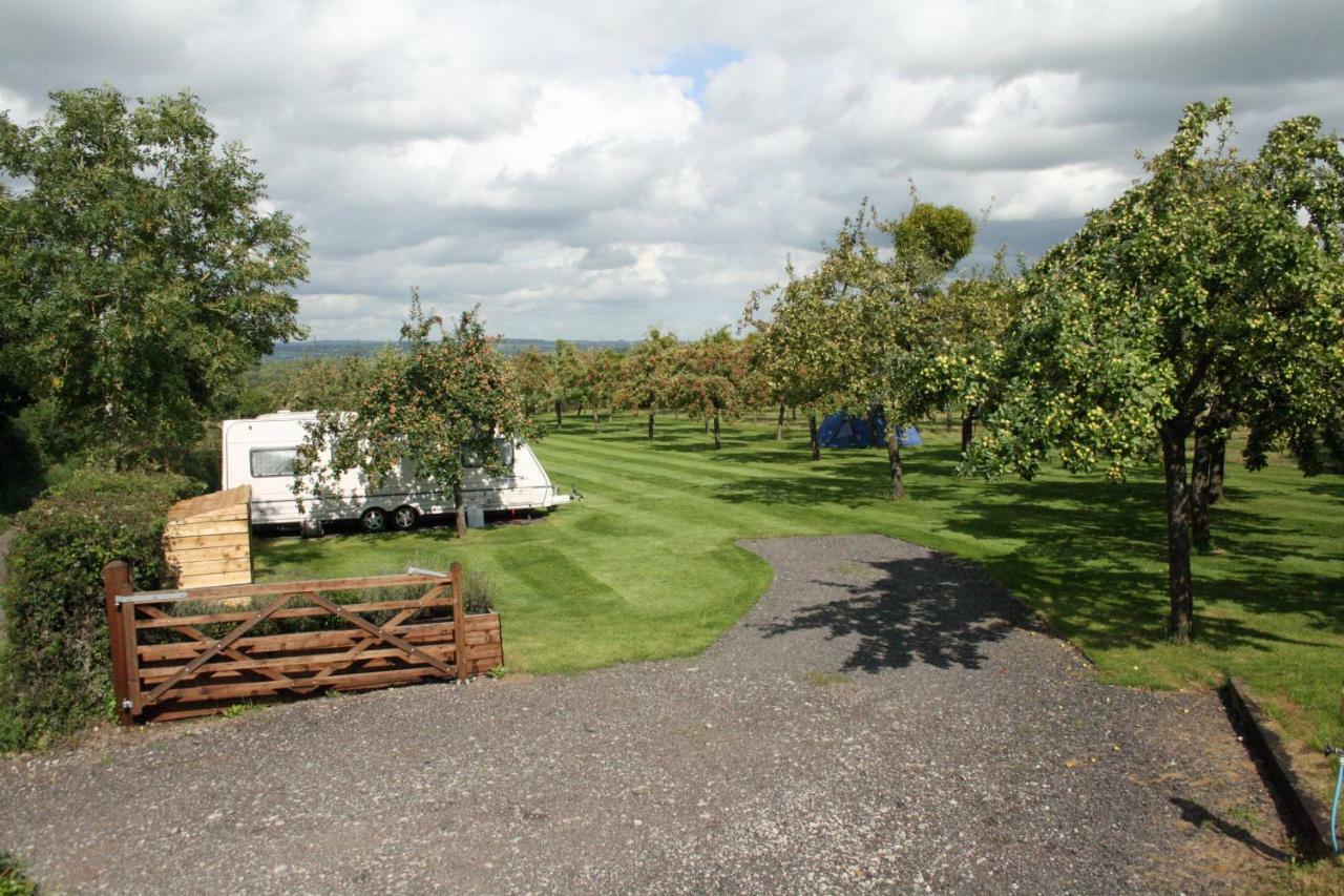 Orchard Farm Luxury Glamping And Campsite Glastonbury Exterior photo